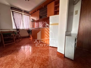 Apartament cu 2 camere de vanzare , lift, Zona Aradului , Timisoara - imagine 4