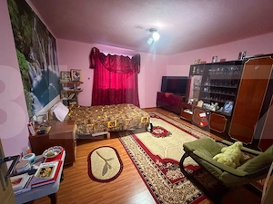 Casă de vânzare, Dabuleni Dolj + 2 ha teren - imagine 5