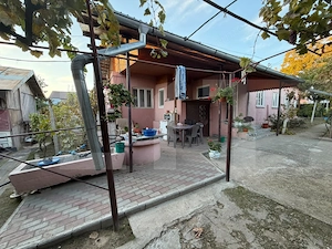 Casă de vânzare, Dabuleni Dolj + 2 ha teren - imagine 2