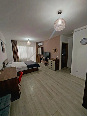 Apartament 1 camera Conest Vision - imagine 2