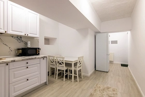 Apartament 2 camere - Demisol, 66 mp, Mobilat si Utilat, Bloc Nou, Zona Mosilor - imagine 7