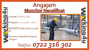 Muncitor Necalificat Reparatii Schele