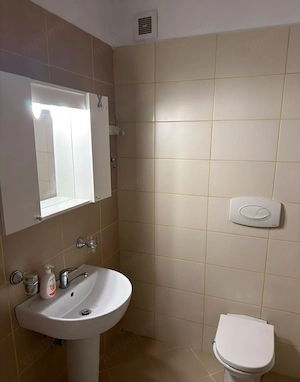 Închiriere Apartament 2 Camere Vitan Centrală, Parcare, Boxă,  Petfriendly - imagine 10