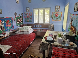 Casa batraneasca, cu gaz, teren de 1.000 mp in Berchiesu, comuna Frata - imagine 5