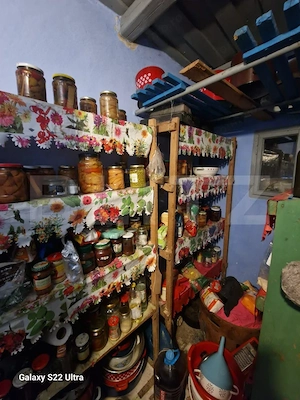 Casa batraneasca, cu gaz, teren de 1.000 mp in Berchiesu, comuna Frata - imagine 6