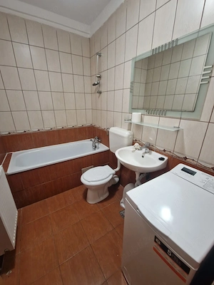 Apartament cu 1 camera cu Centrala Proprie - Buziasului  - imagine 3