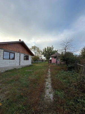 Casa 101 mp + teren 3181 mp Luica, Calarasi - imagine 3
