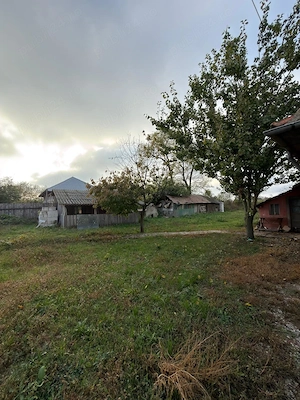 Casa 101 mp + teren 3181 mp Luica, Calarasi - imagine 6