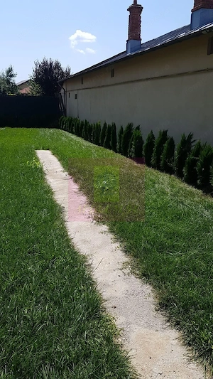 Vilă individuală cu arhitectură elegantă și grădină generoasă | 5 came - imagine 3
