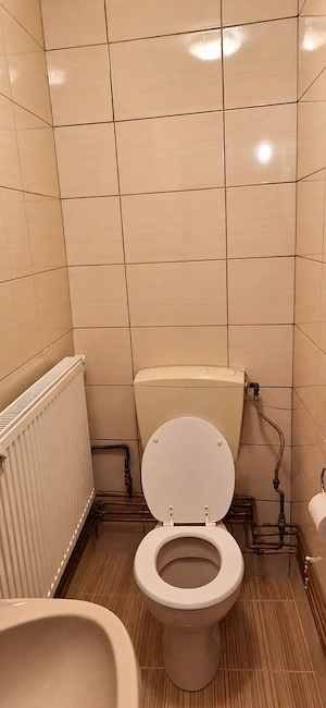  Casa de vanzare 2 camere Rahova intre soseaua Antiaeriana si Margeanului (Teius) - imagine 9
