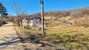 TEREN 872 MP ZONA LINISTITA AER CURAT - imagine 5