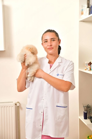 Tehnician Veterinar caut loc de muncă!