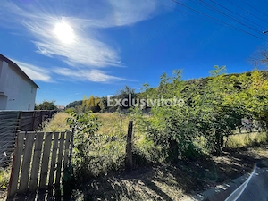 Teren 1220mp intravilan Bascov, AG - imagine 5