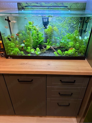 Vand Plante de Acvariu - imagine 3