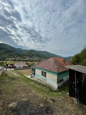 Vand casa la tara - imagine 4