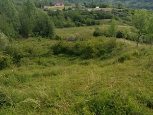Valeni de Munte - Predeal- Sarari, 4574 mp - imagine 5