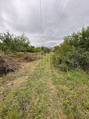 Teren intravilan de vânzare în Daia Nouă – 1.000 mp - imagine 2