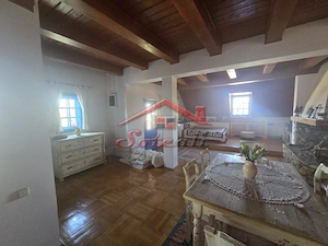 Vilă elegantă și casă independentă pentru oaspeți - Banesti - imagine 19