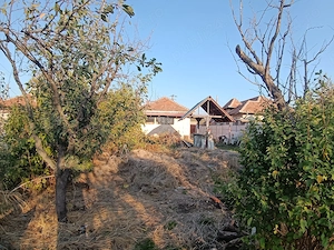 Casa Cerneți (Piatra Alba) 4500 mp - imagine 5