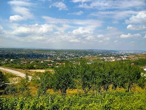Vilă duplex luminoasă în Bucium, panorama deosebita, suprafata 480mp, 1560 mp teren - imagine 10