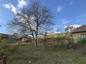 Casă cu 3 camere și un teren de 35,50 mp - imagine 3