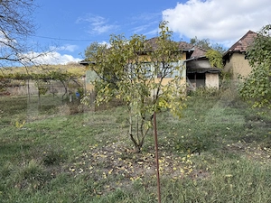 Casă cu 3 camere și un teren de 35,50 mp
