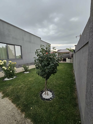 🏡✨ CASĂ PREMIUM  ȘENDRENI – 305 MP LOCUIBILI, TEREN 1.000 mp - imagine 10
