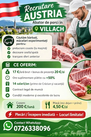 Austria - Locuri de muncă pentru măcelari profesioniști  ! 