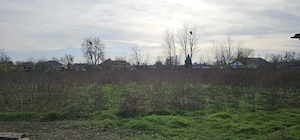 Proprietar, vand teren si locuinta Mereni, judetul Constanta - imagine 2