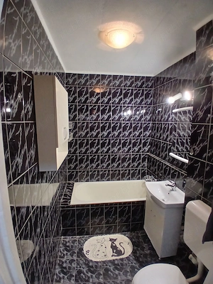 De închiriat -apartament cu 2 camere , sector 3 ,București - imagine 2