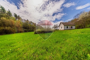 Casă de vacanta intr-o locatie de vis de vanzare in Carand,Romania - imagine 4