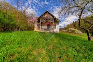 Casă de vacanta intr-o locatie de vis de vanzare in Carand,Romania - imagine 2