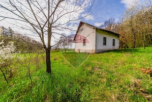 Casă de vacanta intr-o locatie de vis de vanzare in Carand,Romania - imagine 20