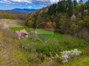 Casă de vacanta intr-o locatie de vis de vanzare in Carand,Romania - imagine 18