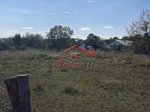 Teren 3.750 mp în Câmpina – 76 ml deschidere | Ideal pentru investiție - imagine 5