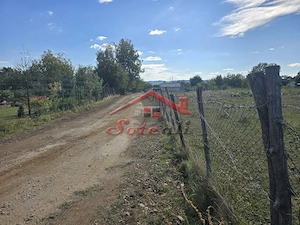 Teren 3.750 mp în Câmpina – 76 ml deschidere | Ideal pentru investiție - imagine 3