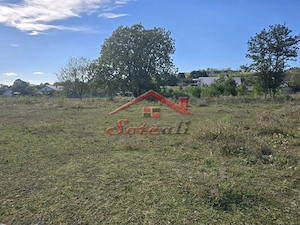 Teren 3.750 mp în Câmpina – 76 ml deschidere | Ideal pentru investiție - imagine 6