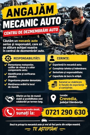 Mecanic auto