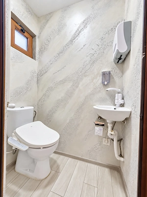 Casa renovata cu teren 730mp in Piata Centrala - imagine 11