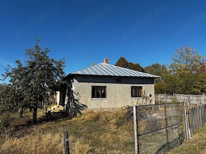 Casă 104 mp + anexe, 3.846 mp curte și 8.681 mp teren vizavi   Vitomirești - imagine 2