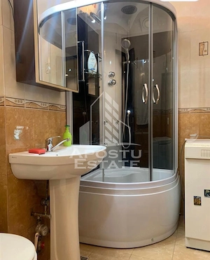 Apartament cu 1 camera de închiriat, centrala proprie, Take Ionescu - imagine 4