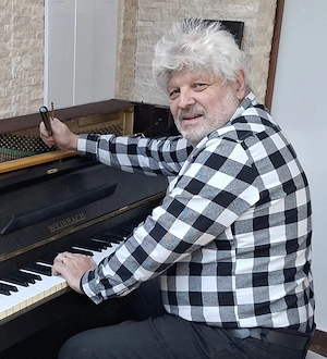 Mentenanța  PiANE,Pianine