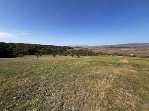 vand teren pasune 23 ha in extravilan com Cata jud Brasov