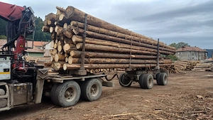 Vand Scania forestier cu macara - imagine 3