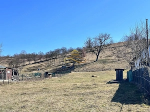 Teren Intravilan Luncani Bacau