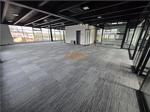 Spatii Birouri | Cladire Moderna - imagine 4