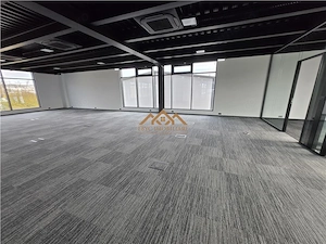 Spatii Birouri | Cladire Moderna - imagine 3