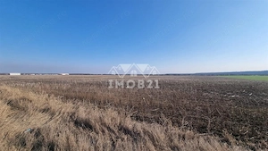 Teren extravilan de vanzare in Aricestii Rahtivani 11000 mp - imagine 2