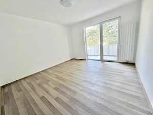 Vand 2 cam Dambu [complet renovat] - imagine 2