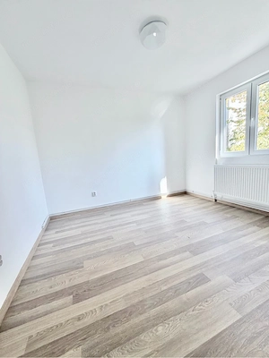 Vand 2 cam Dambu [complet renovat] - imagine 4